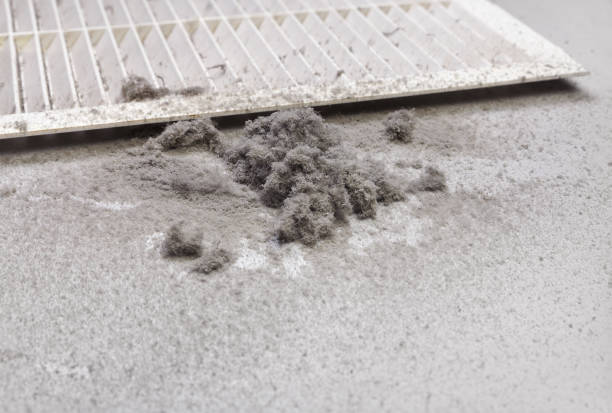 Best Ventilation Cleaning Services  in Bellevue, NE