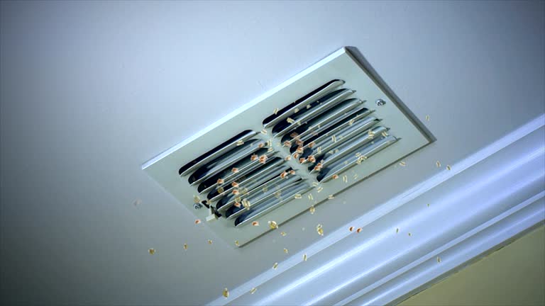Best Commercial Air Duct Cleaning  in Bellevue, NE