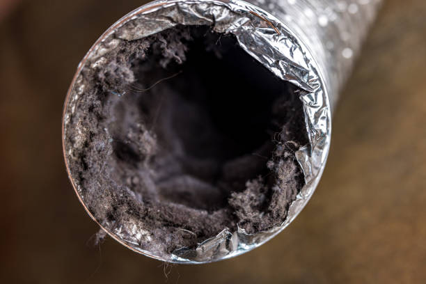 Best Air Duct Cleaning Near Me  in Bellevue, NE